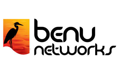 r_logo_benu-networks_color_001
